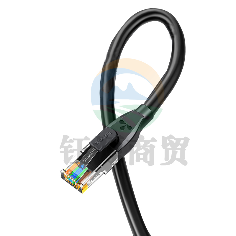 山泽（SAMZHE)TZB-6100六类千兆八芯网线黑色10米