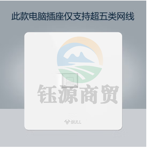 公牛（BULL）开关插座 G12系列 一位电脑插座86型暗装面板G12T102 象牙白