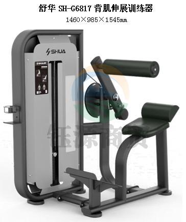 舒华SH-G6817背肌伸展训练器