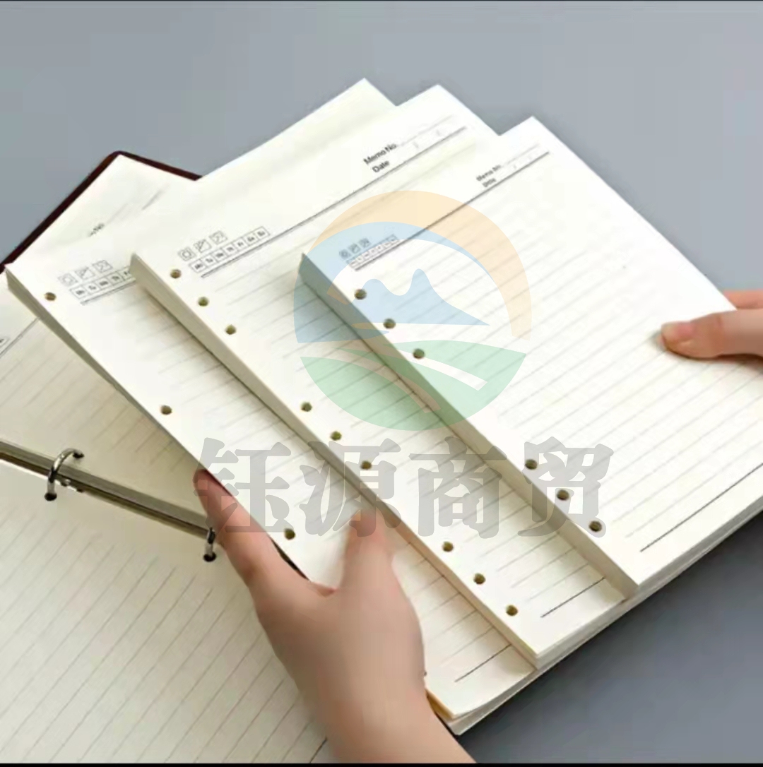 活页替芯B5 9孔（本）五本起卖