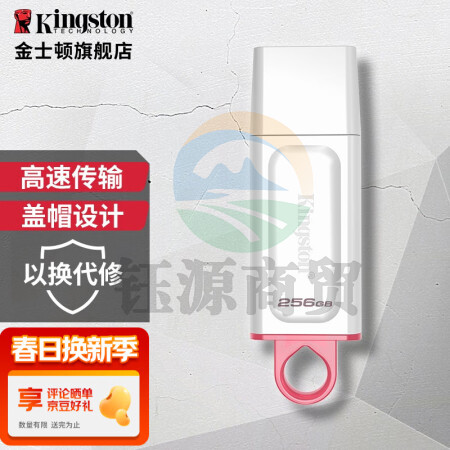金士顿（Kingston） u盘 USB3.2 Gen 1 DTX高速车载闪存优盘 DTX-256GB(银白色）