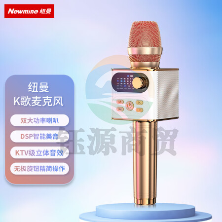 纽曼（Newmine）H56 话筒音响一体麦克风 无线收音动圈麦 香槟金