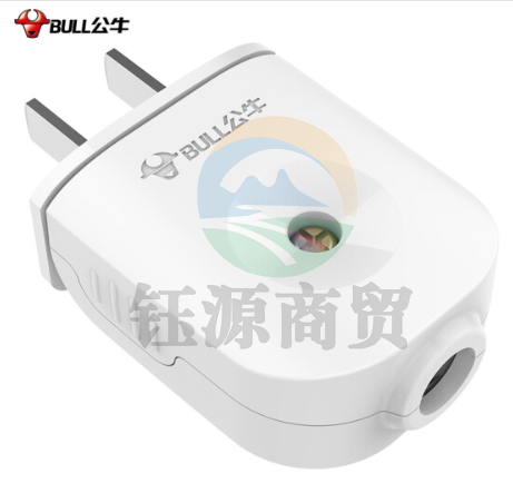 公牛（BULL）插头二三脚插头3脚空调插 10a插头2脚电源插座无线/自行接线 GNT-10L6二脚10A插头(独立包装）