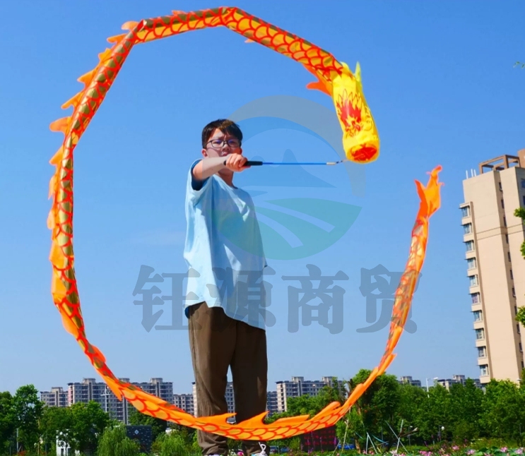 舞龙彩带健身甩甩龙身新款道具儿童广场舞带手耍龙空竹龙表演运动