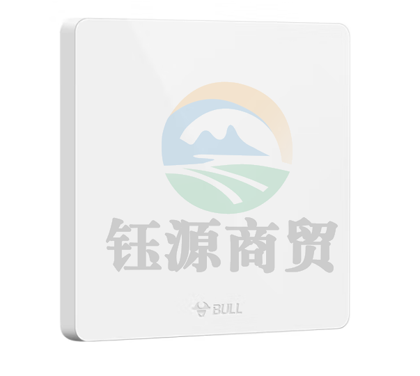 公牛（BULL）空白面板 G12系列 防溅盒面板白板86型面板 G12B101 象牙白
