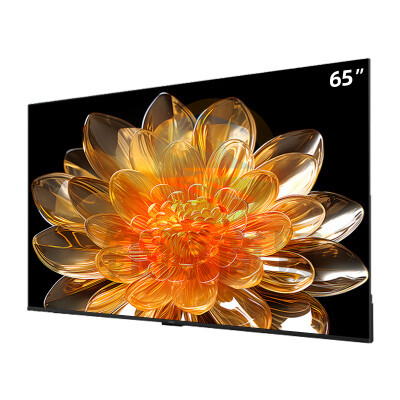 创维 (Skyworth)BC20系列 商用电视机无广告 4K超高清 全面屏显示 65BC20 