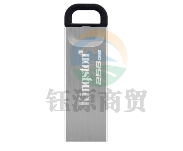 金士顿(Kingston)256GB USB 3.2 Gen 1 U盘 DTKN 大容量U盘 金属外壳 读速200MB/s 学习办公投标电脑通用 DTKN/256GB