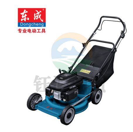 东成 园林工具汽油草坪机FF-SSS48