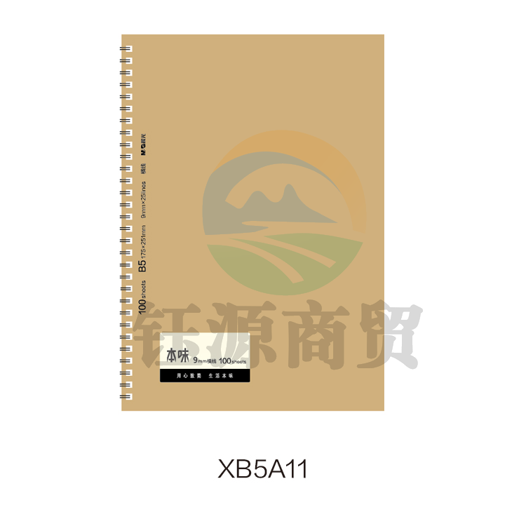 晨光线圈本B5 100页双(学优)XB5A11