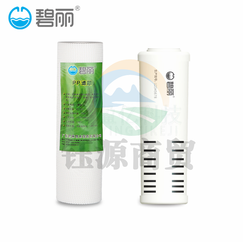 碧丽TP-2 滤芯 智能4.0组合滤芯(PP-95/T95C)