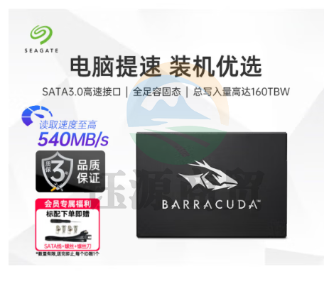希捷(SEAGATE)固态硬盘256g台式ssd m2 256GB sata接口