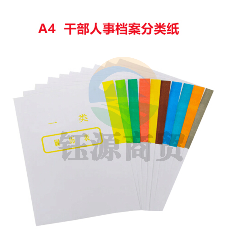 金文誉 干部人事档案分类纸 十大分类纸 1-10类混合装 十大分类纸（100张/本）