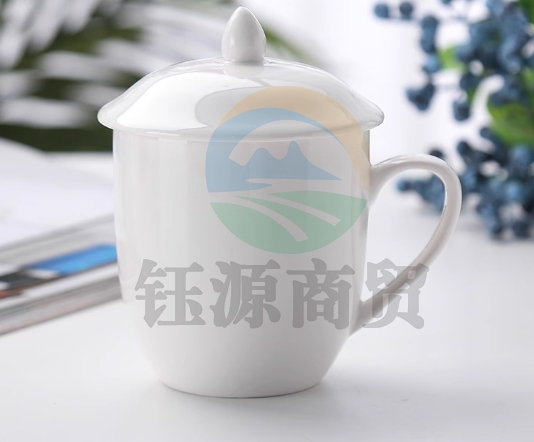 会议杯子带盖